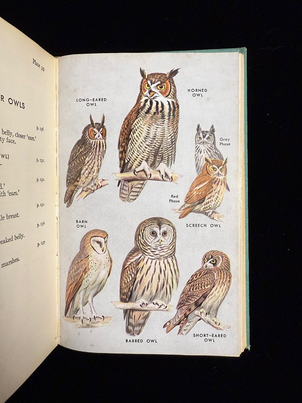 A Field Guide to the Birds
