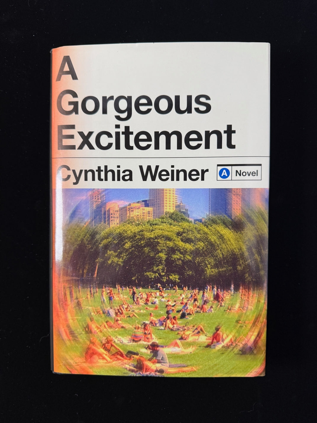 A Gorgeous Excitement