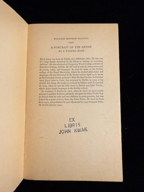 A Portrait of the Artist as a Young Man