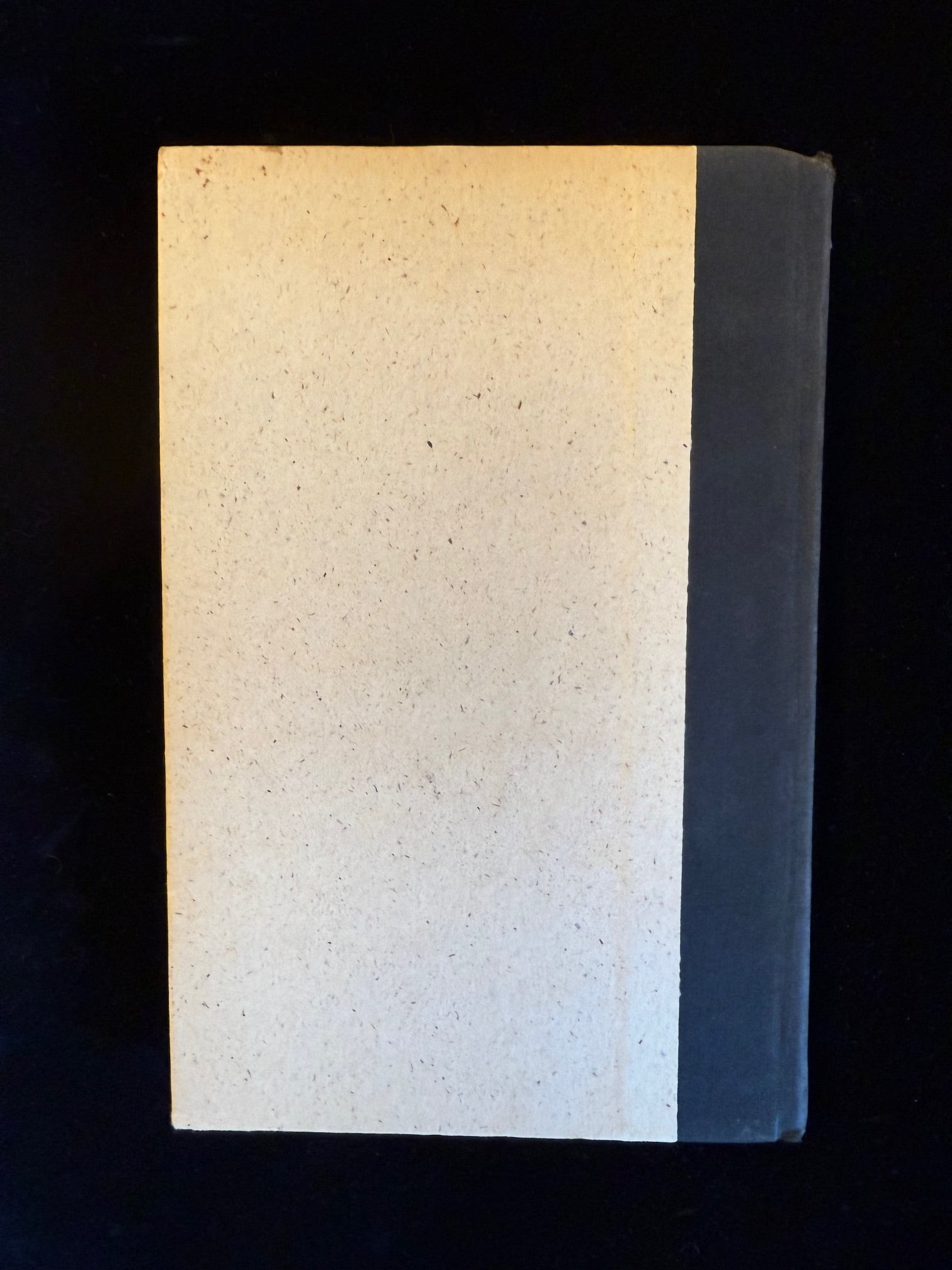 A Young Man In Search of Love