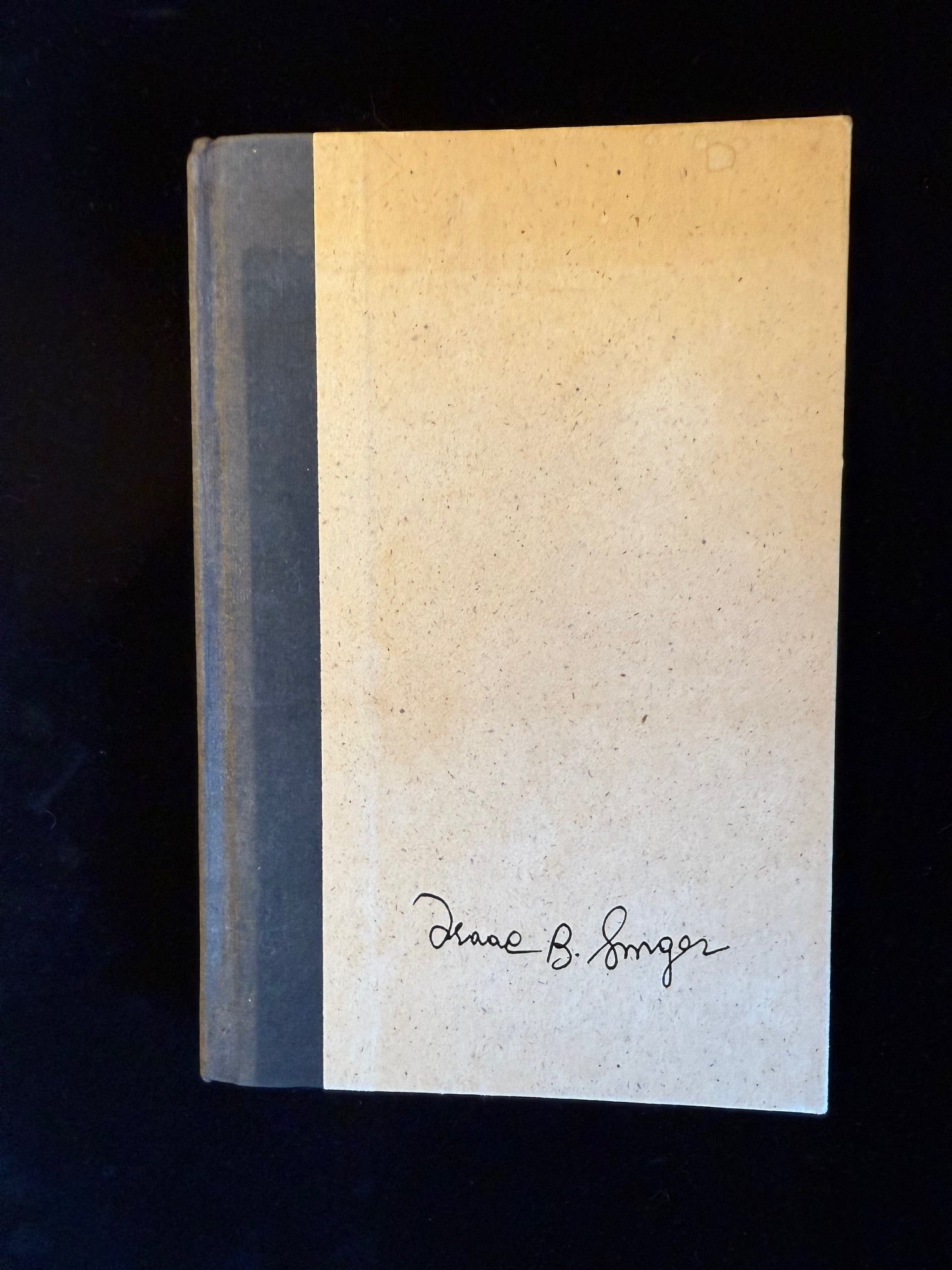 A Young Man In Search of Love