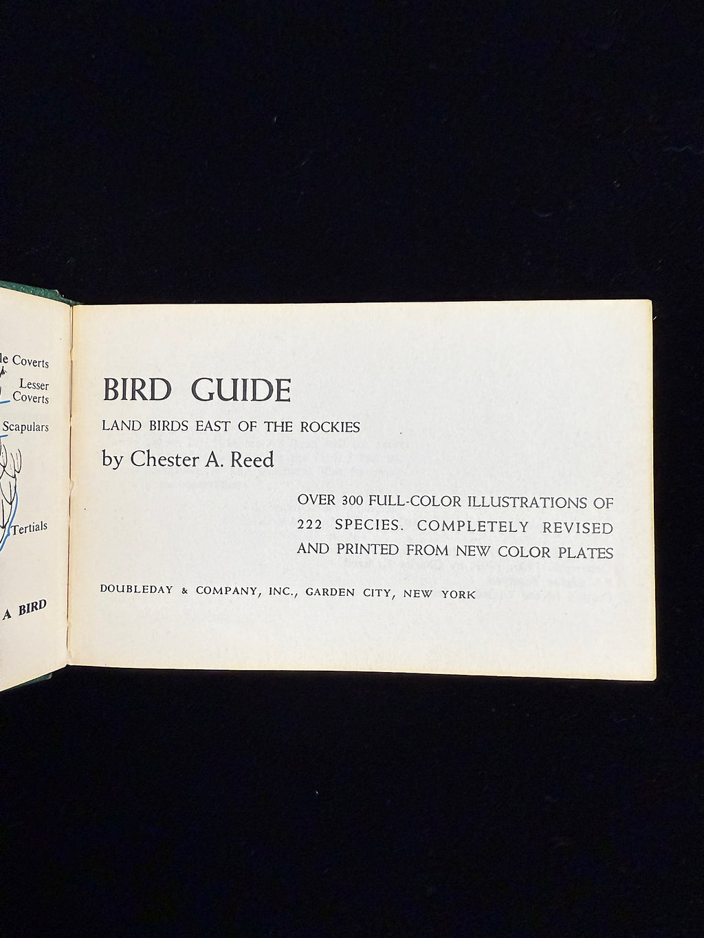 Bird Guide Land Birds East of the Rockies