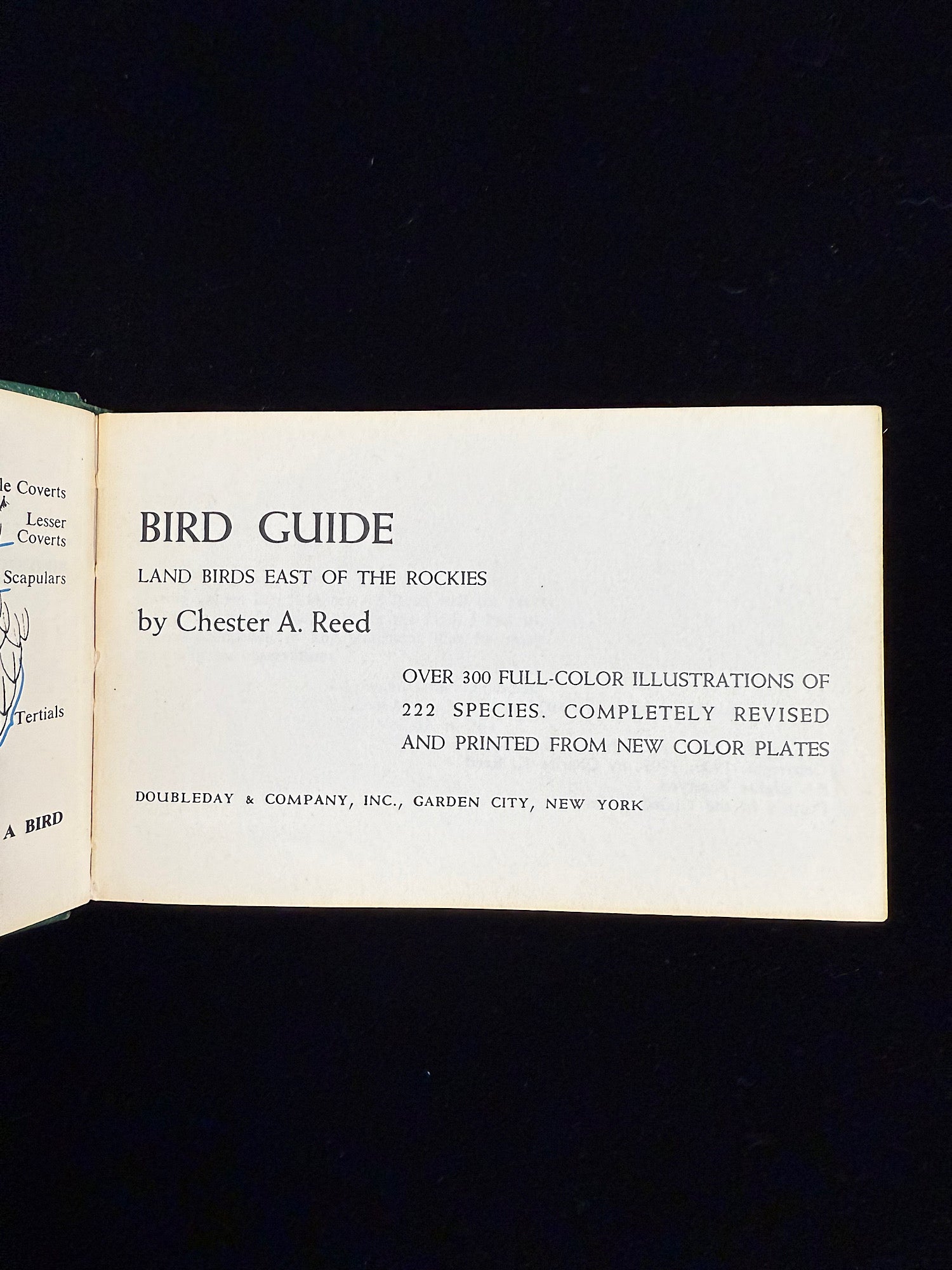 Bird Guide Land Birds East of the Rockies