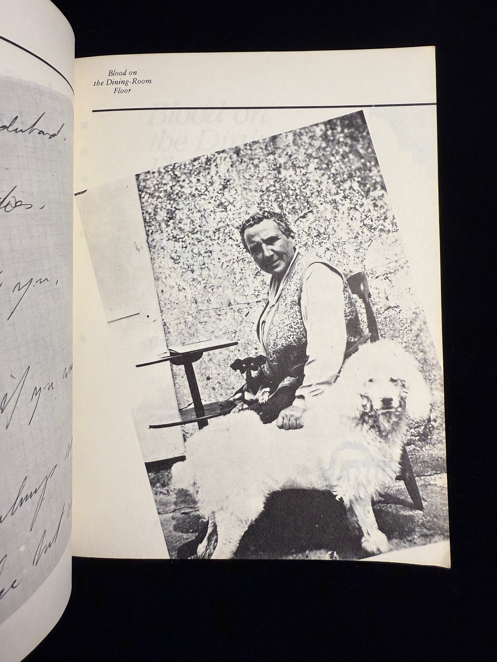 Blood on the Dining-Room Floor