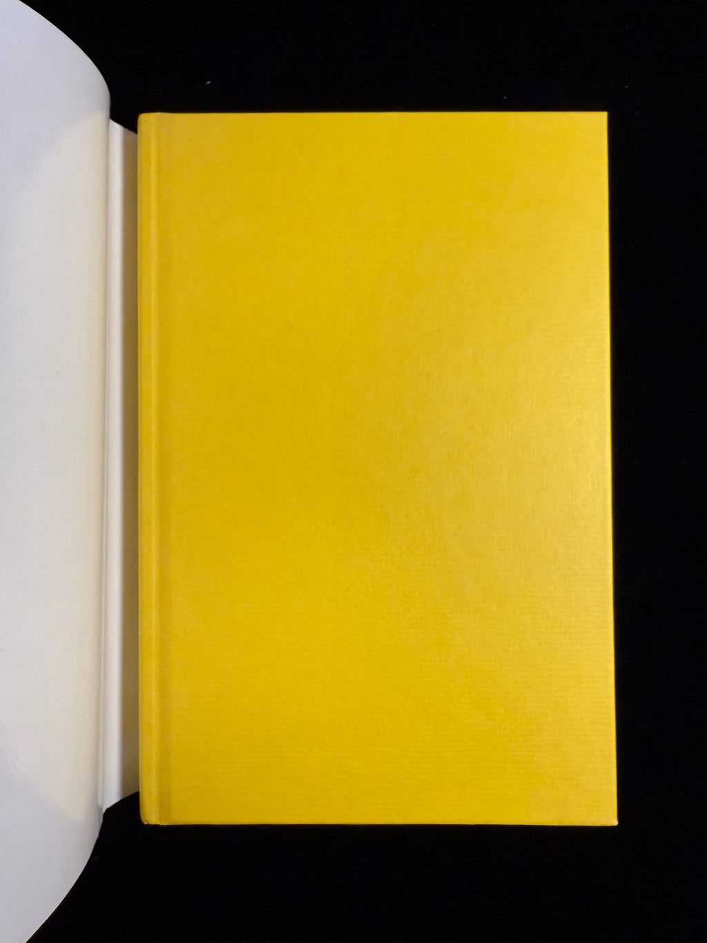 Critics, Monsters, Fanatics and Other Literary Essays