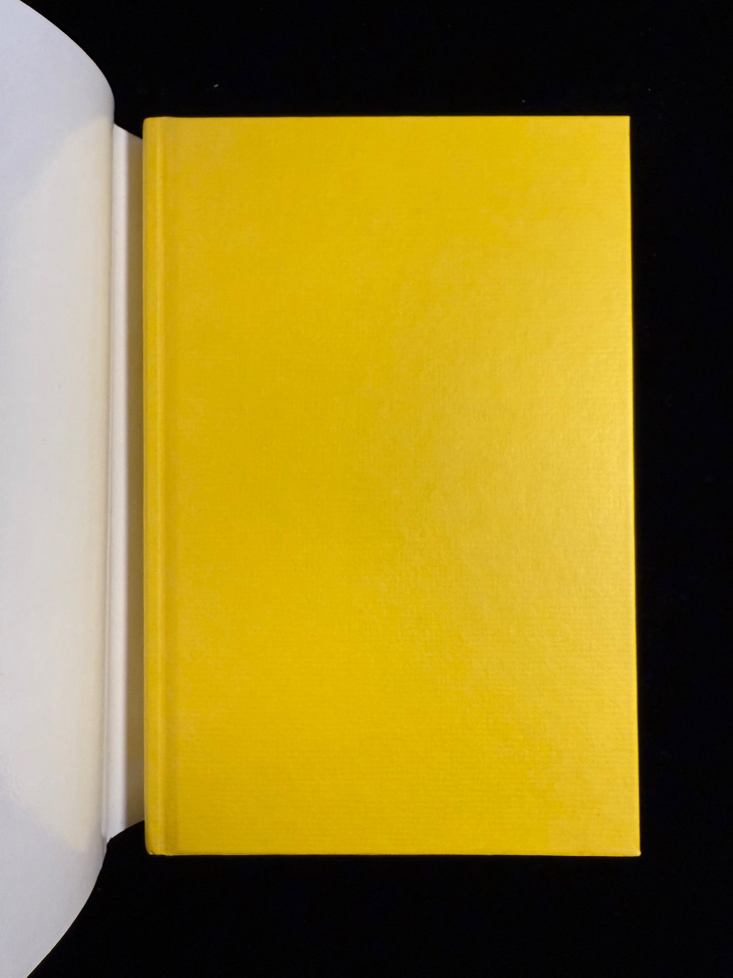 Critics, Monsters, Fanatics and Other Literary Essays