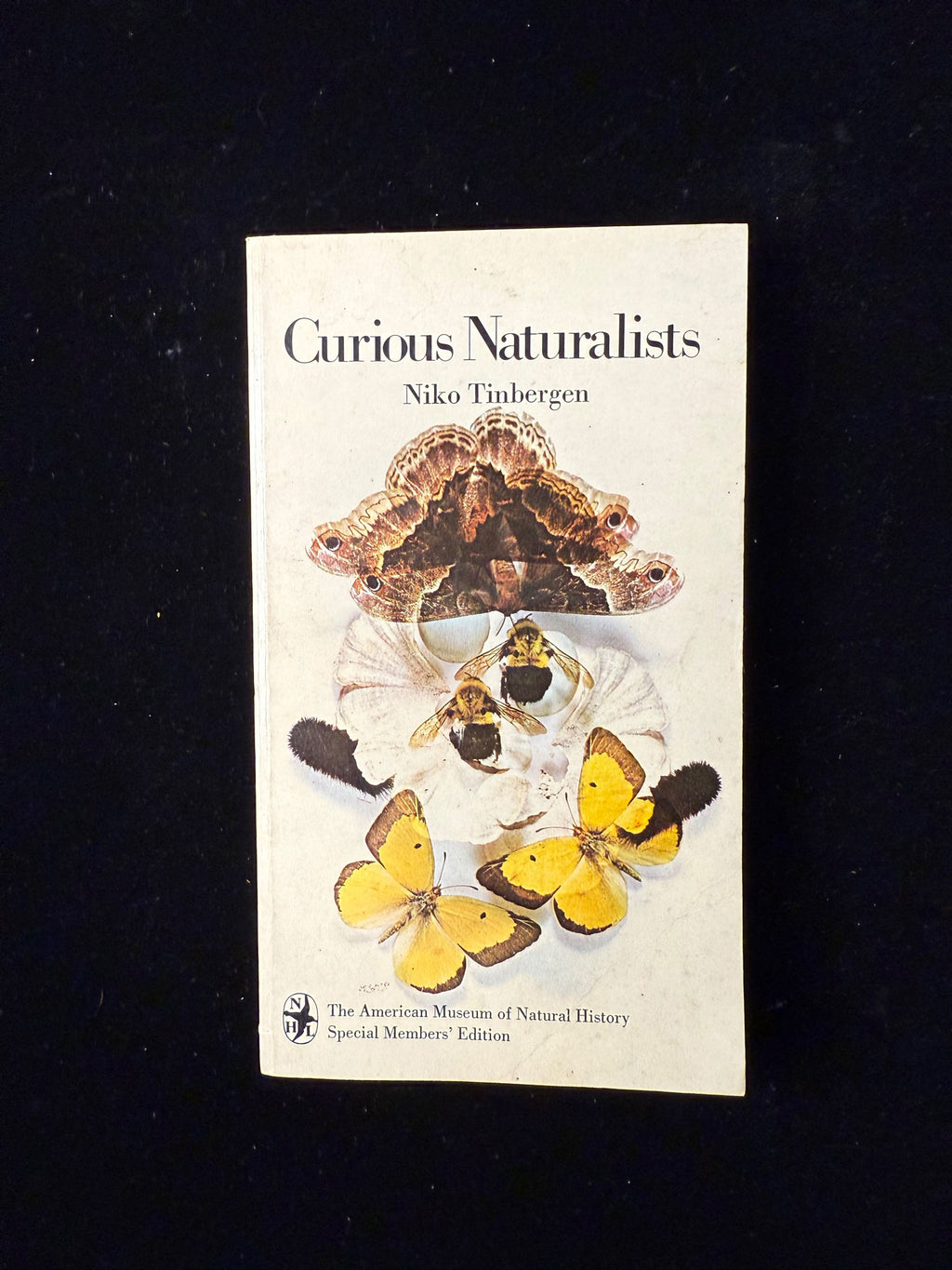 Curious Naturalists