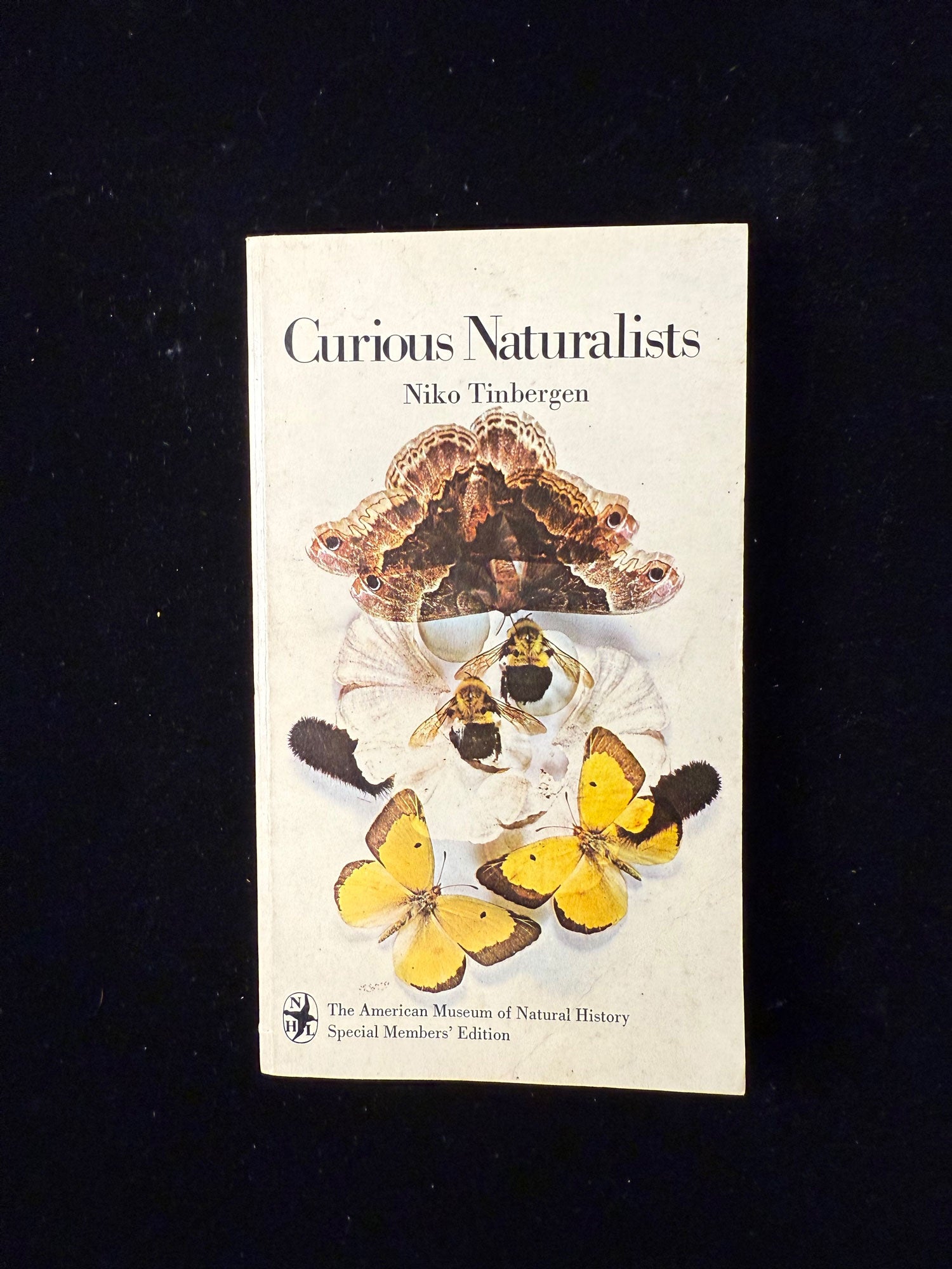Curious Naturalists