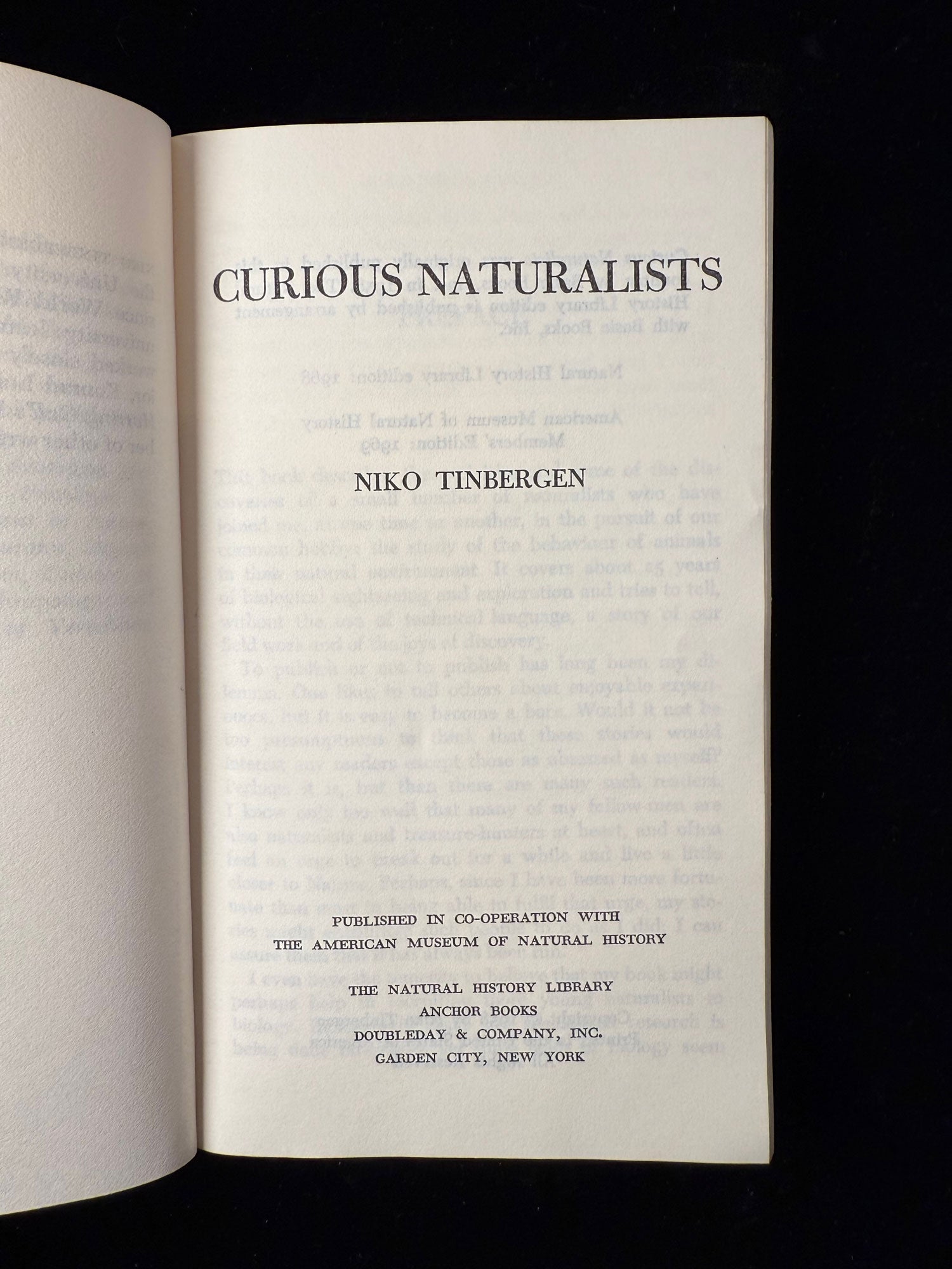 Curious Naturalists
