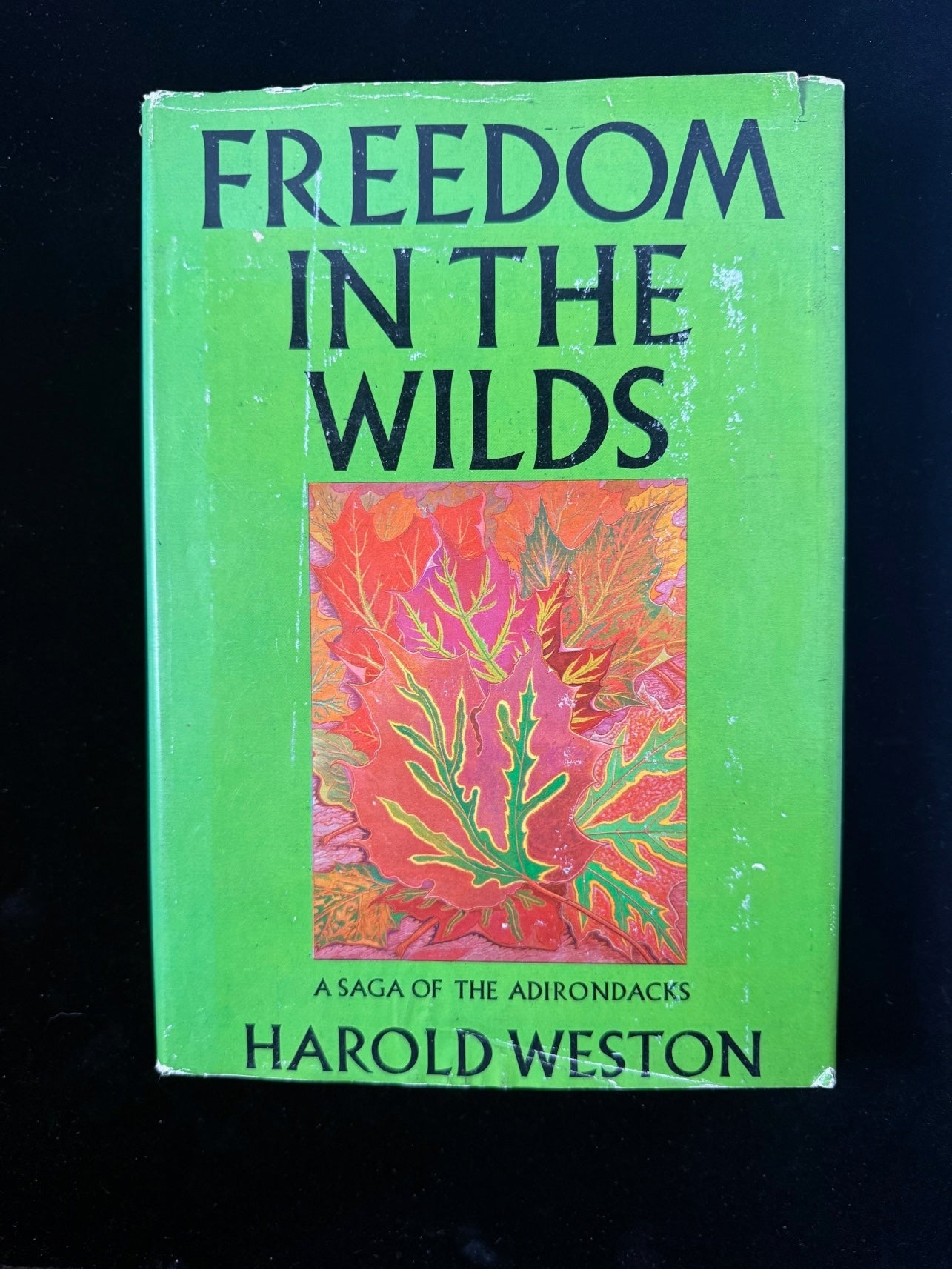 Freedom in the Wilds