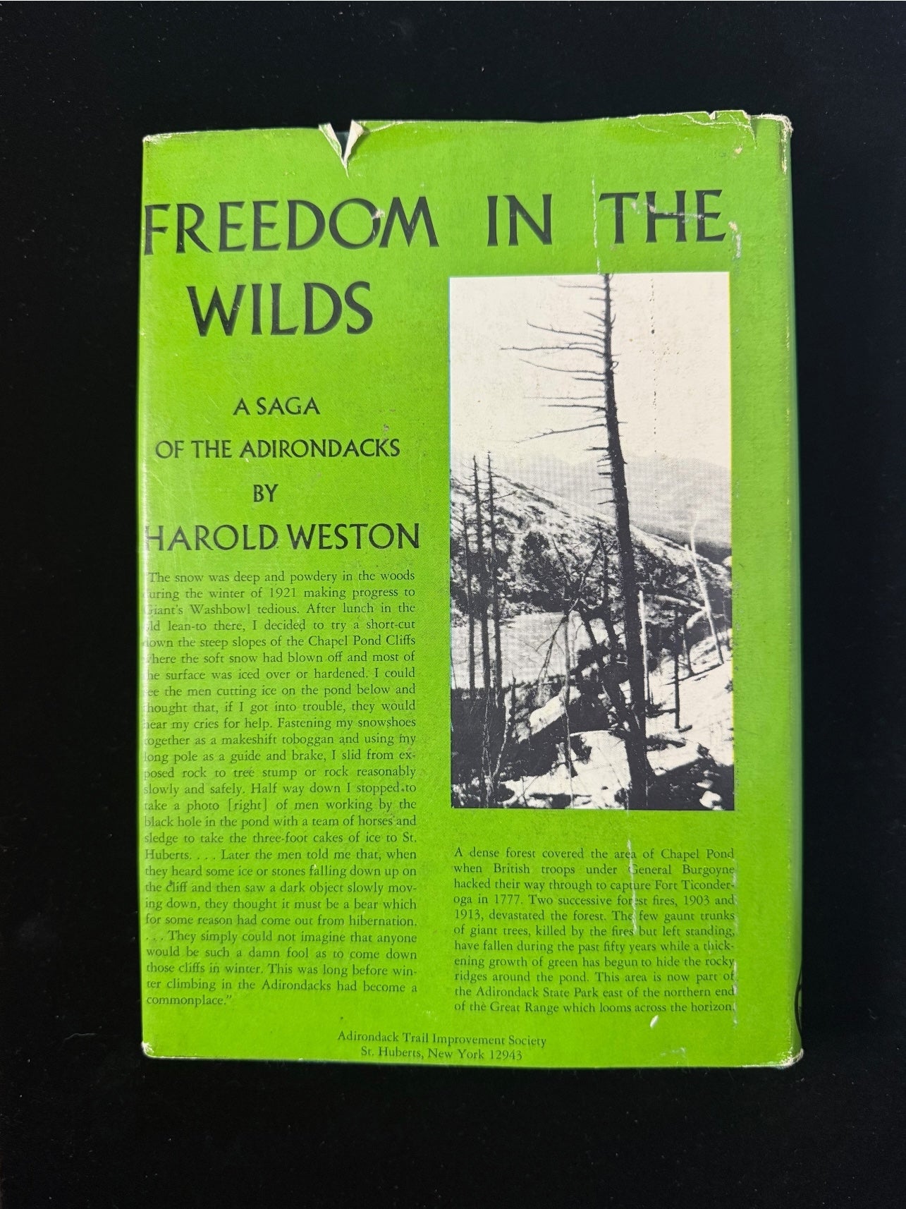 Freedom in the Wilds