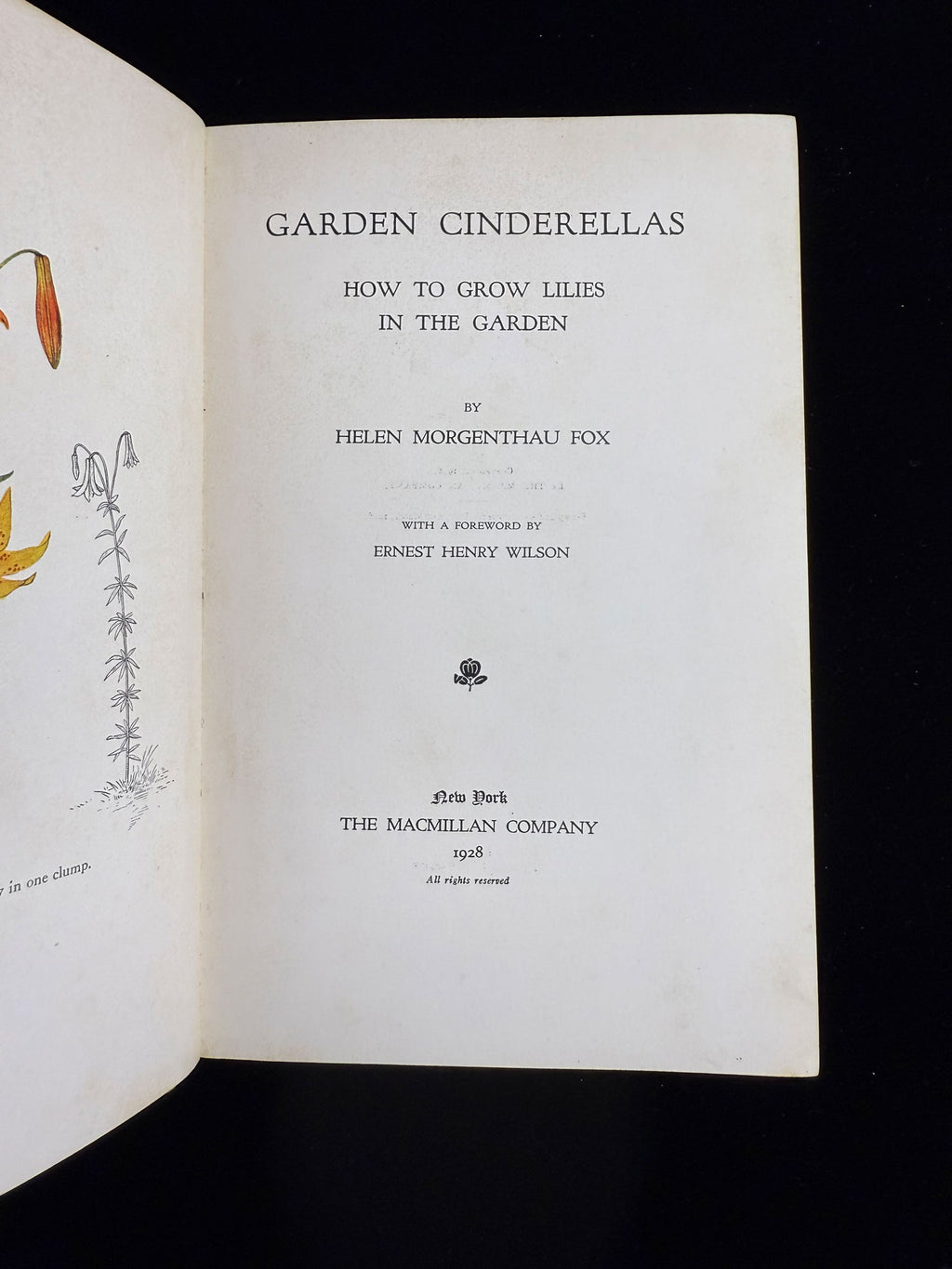 Garden Cinderellas
