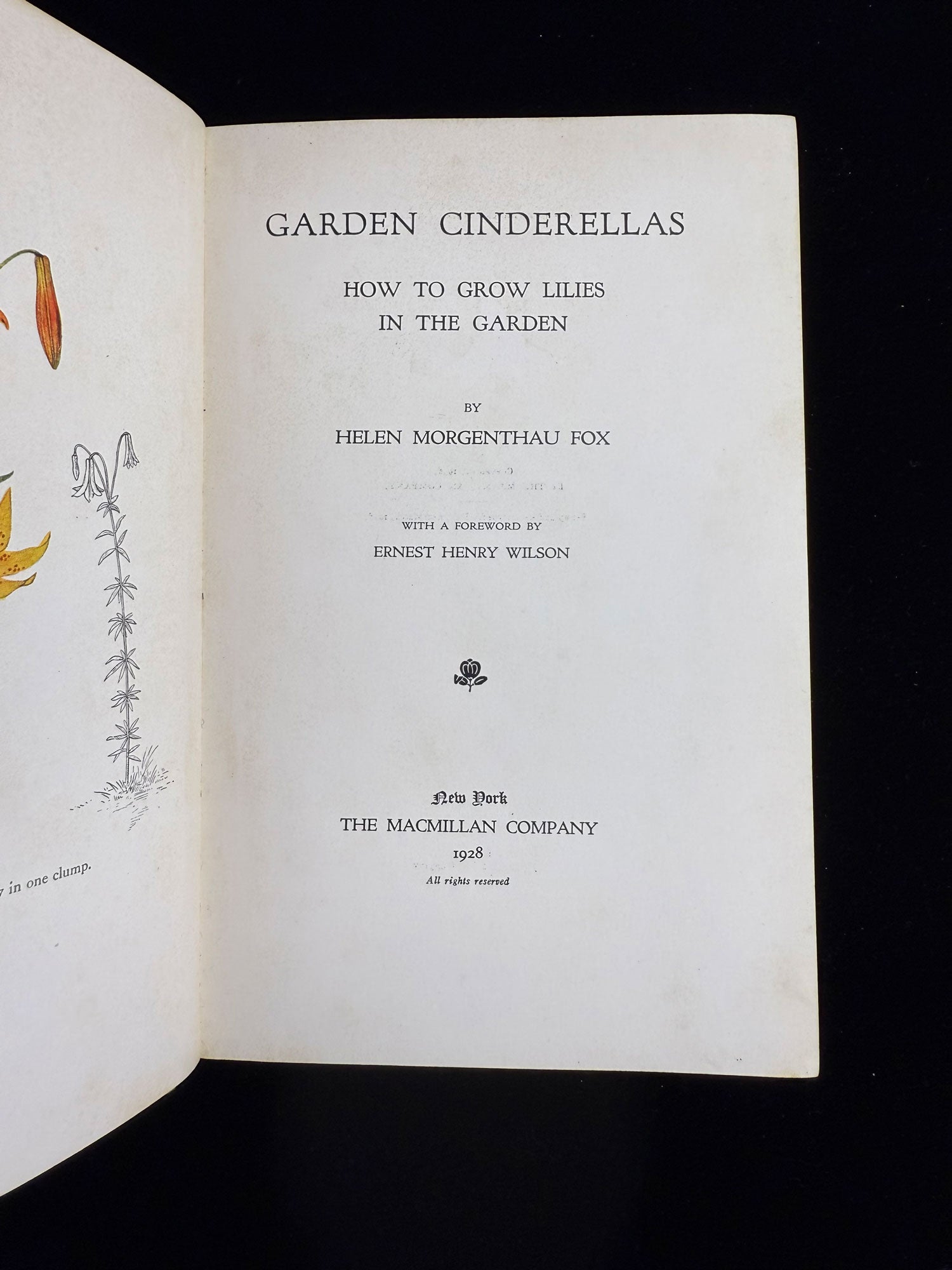 Garden Cinderellas