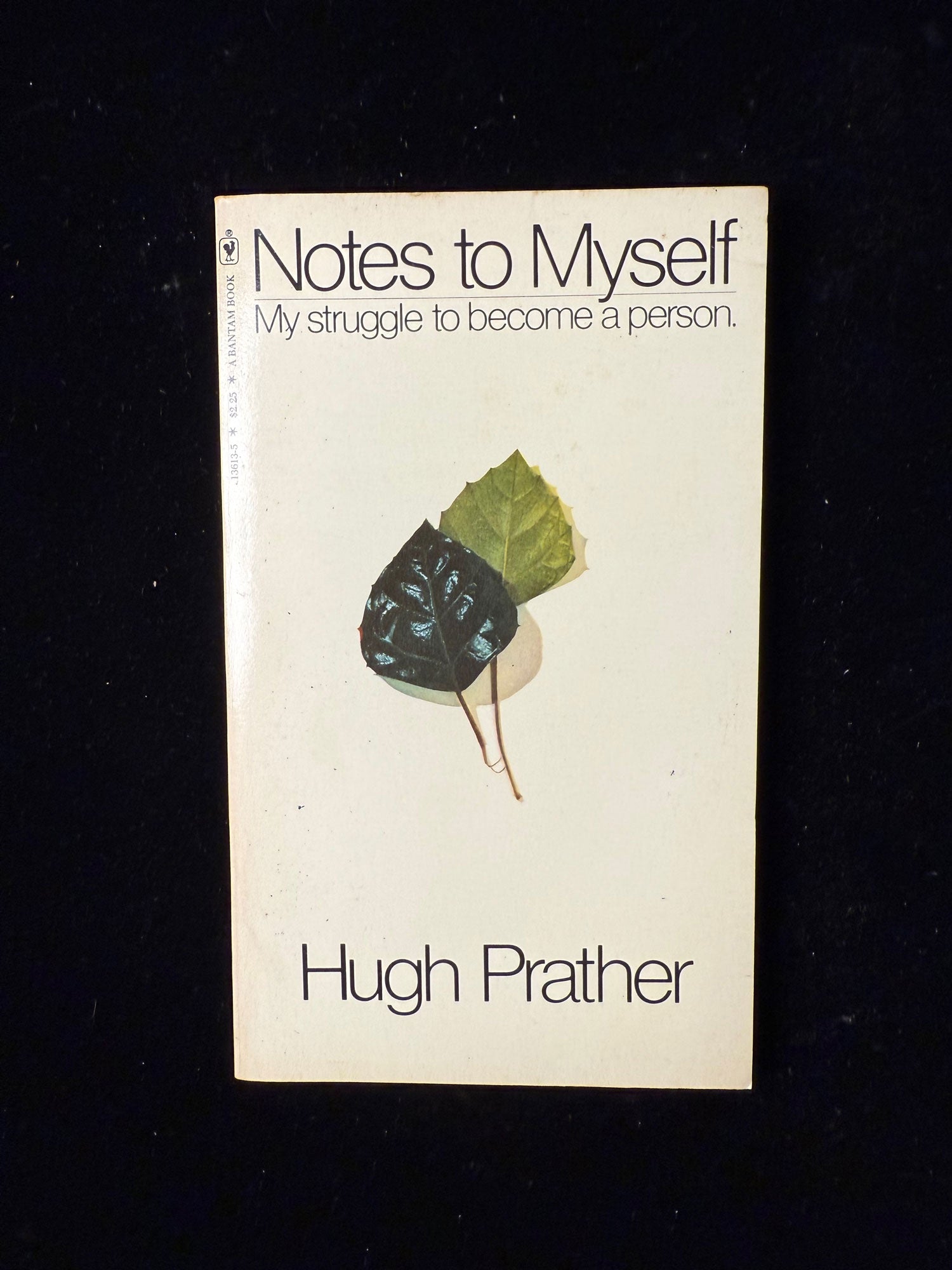 Notes to Myself: My struggle to become a person