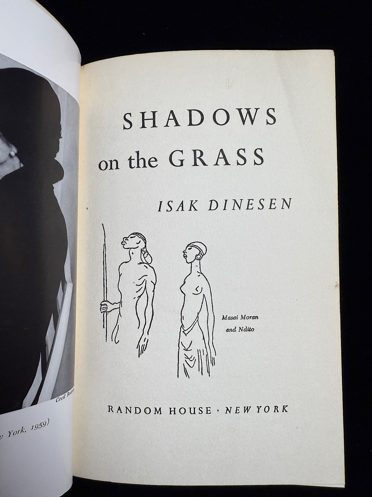 Shadows in the Grass