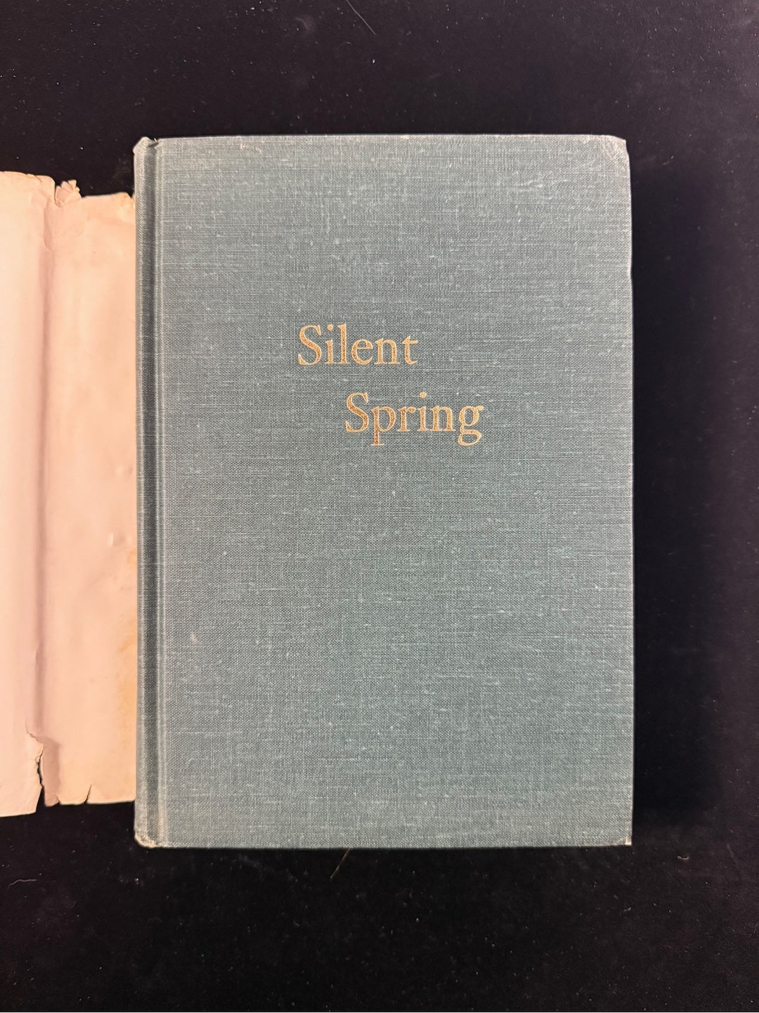 Silent Spring