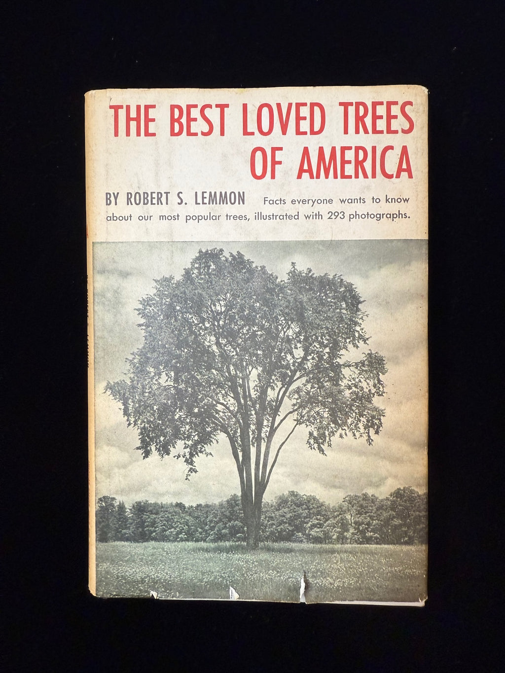 The Best Loved Trees of America