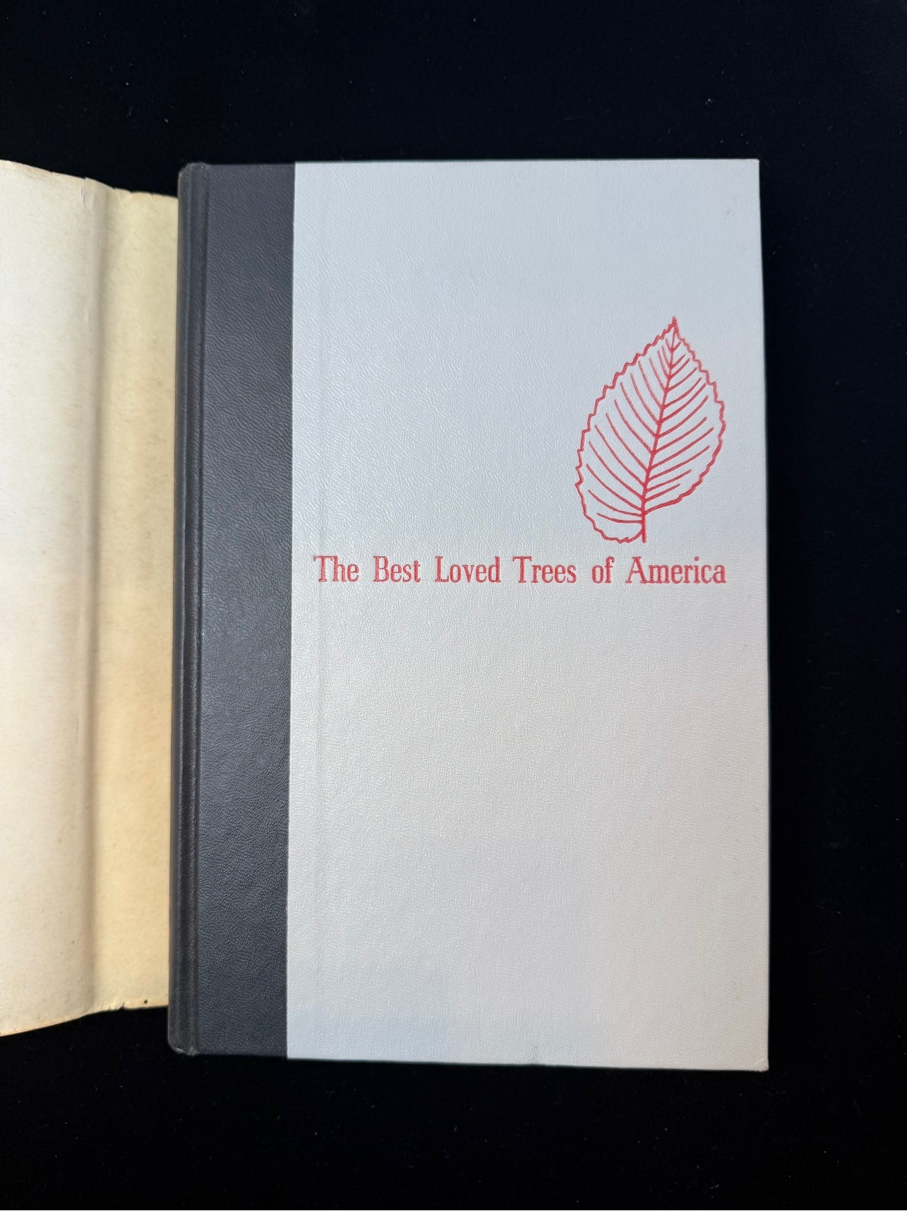 The Best Loved Trees of America