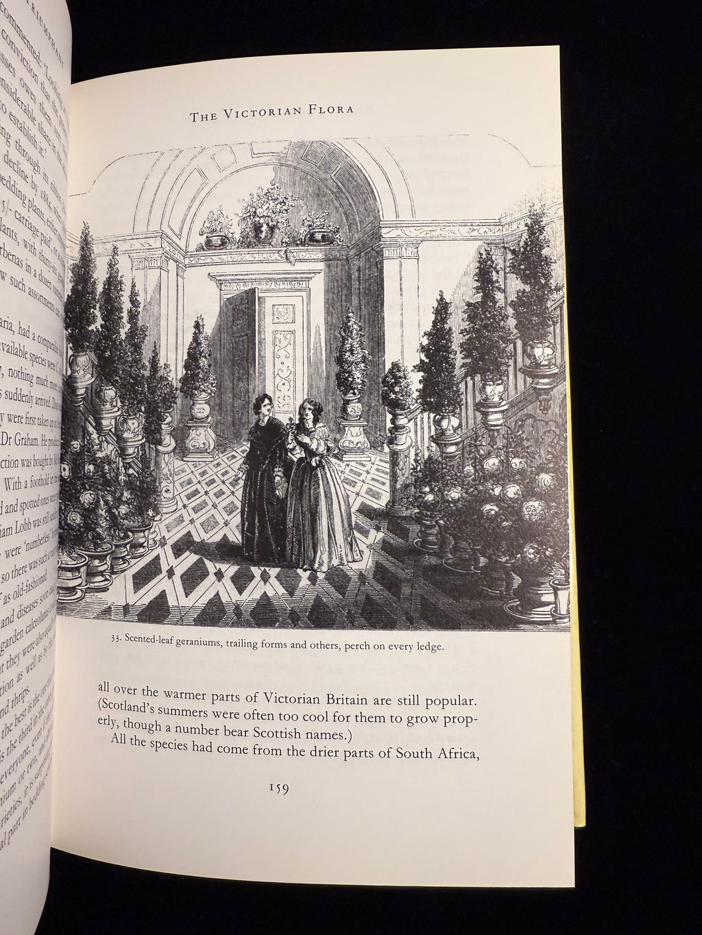 The Garden Triumphant: A Victorian Legacy
