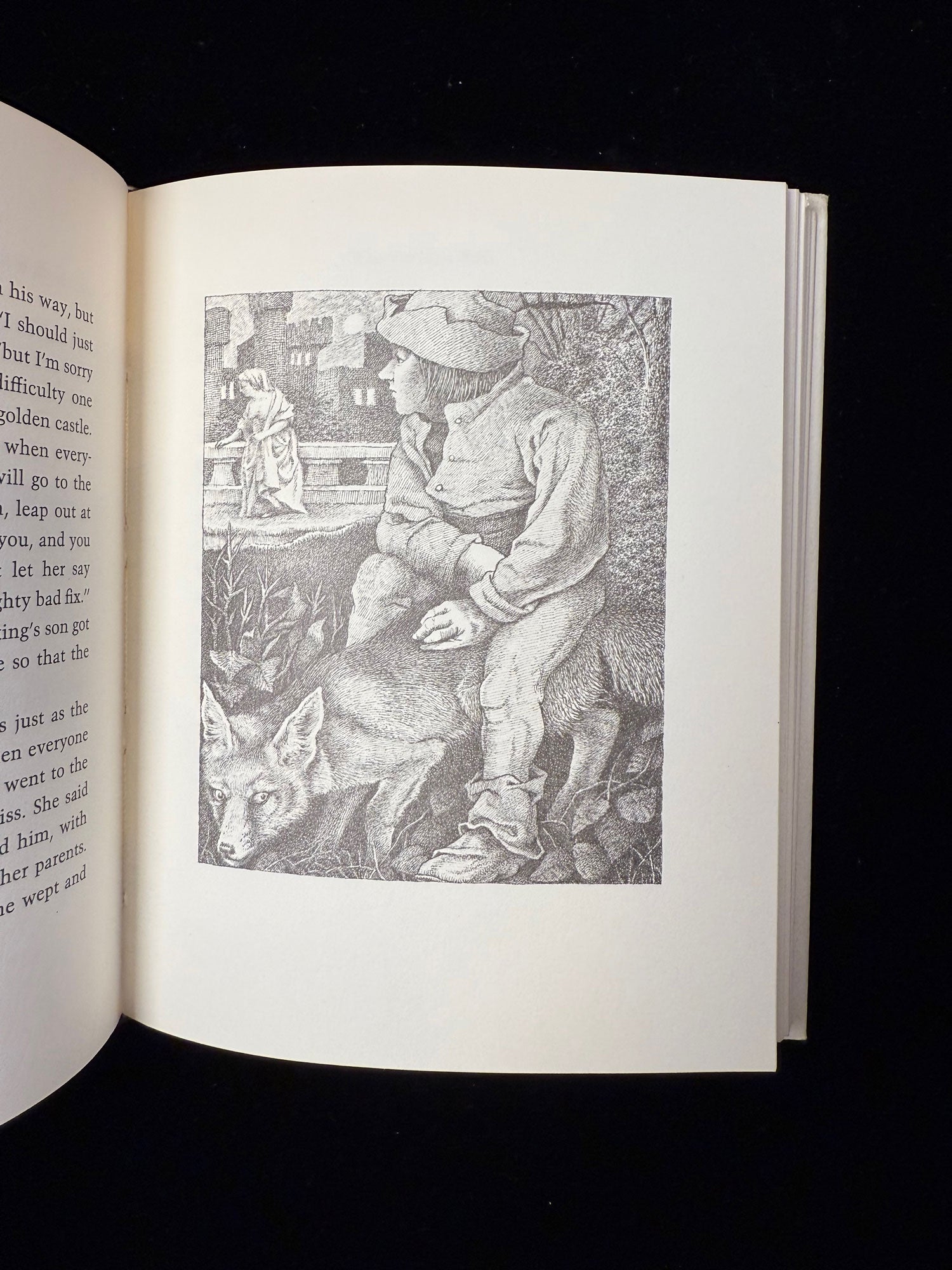 The Juniper Tree and Other Tales from Grimm, Vol. II