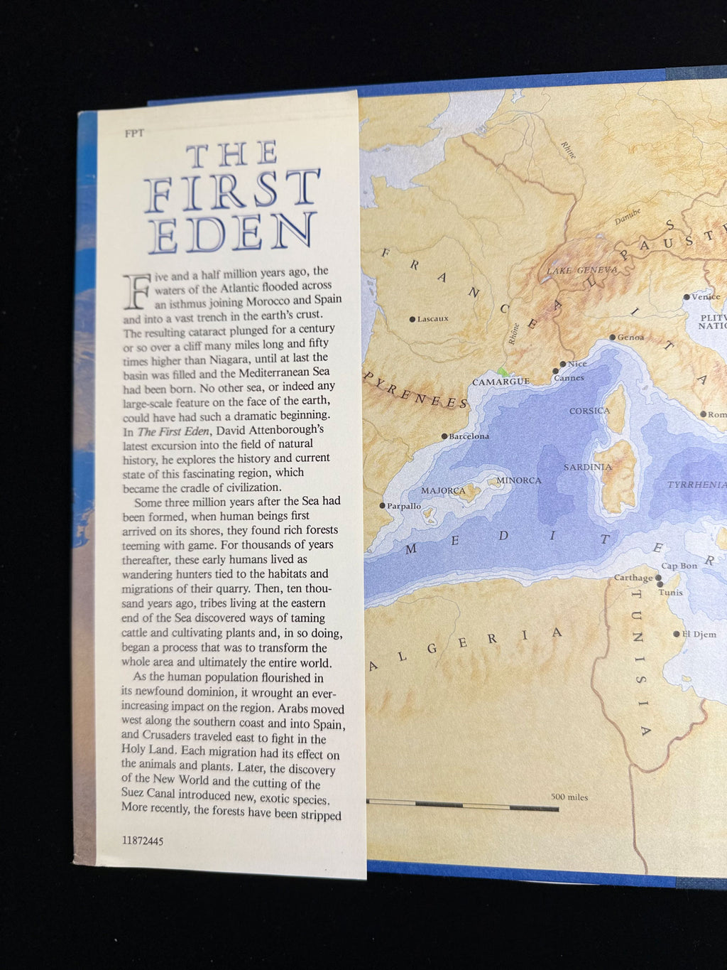 The First Eden: The Mediterranean World and Man